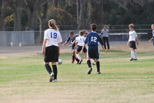 Enlarge photo 137