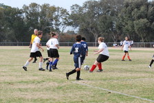 Enlarge photo 139