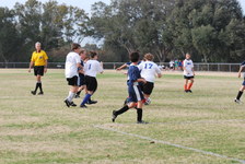 Enlarge photo 140