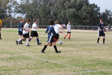 Enlarge photo 141