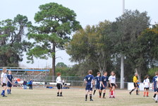 Enlarge photo 143