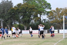 Enlarge photo 145