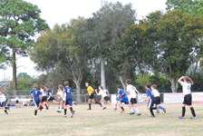 Enlarge photo 146