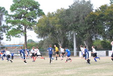Enlarge photo 147