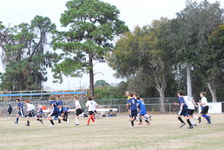 Enlarge photo 148
