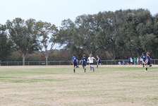 Enlarge photo 149