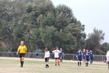 Enlarge photo 157