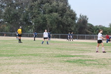Enlarge photo 165