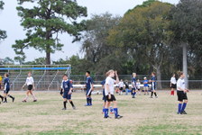 Enlarge photo 484