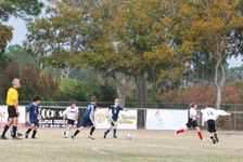 Enlarge photo 202