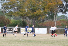 Enlarge photo 203