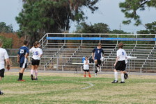 Enlarge photo 214