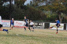 Enlarge photo 216