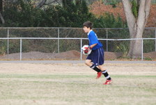 Enlarge photo 217