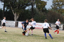 Enlarge photo 220