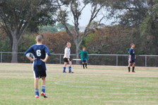 Enlarge photo 236