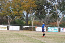 Enlarge photo 238
