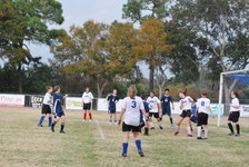 Enlarge photo 245