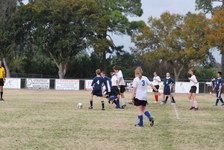 Enlarge photo 246
