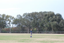 Enlarge photo 247