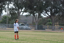 Enlarge photo 279