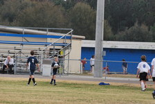 Enlarge photo 317