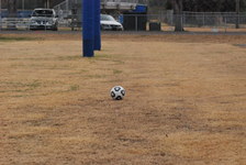 Enlarge photo 321