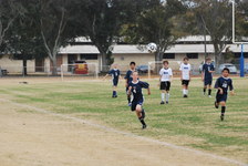 Enlarge photo 339