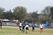 Enlarge photo 341