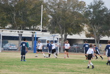 Enlarge photo 348