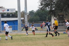 Enlarge photo 378