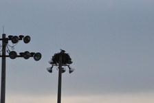Enlarge photo 393