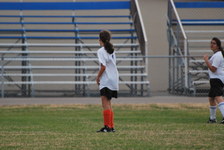 Enlarge photo 422