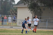Enlarge photo 425