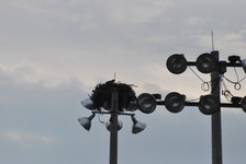 Enlarge photo 463