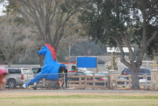 Enlarge photo 471
