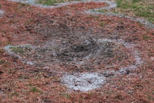 Enlarge photo 478