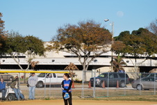 Enlarge photo 142