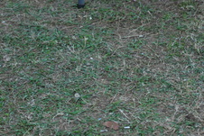 Enlarge photo 269