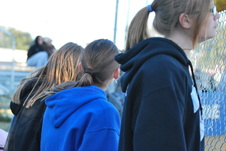 Enlarge photo 279