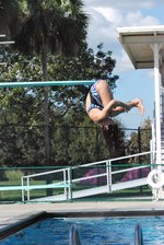 Enlarge photo 41