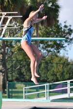 Enlarge photo 97