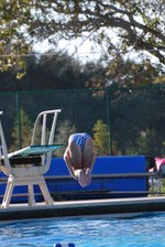 Enlarge photo 118