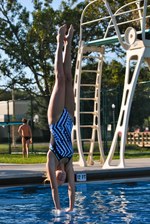 Enlarge photo 132