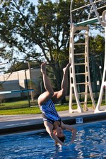 Enlarge photo 151