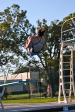 Enlarge photo 165