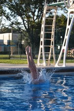 Enlarge photo 179