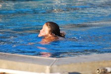 Enlarge photo 221
