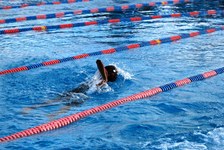 Enlarge photo 46