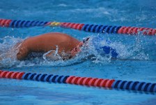 Enlarge photo 72